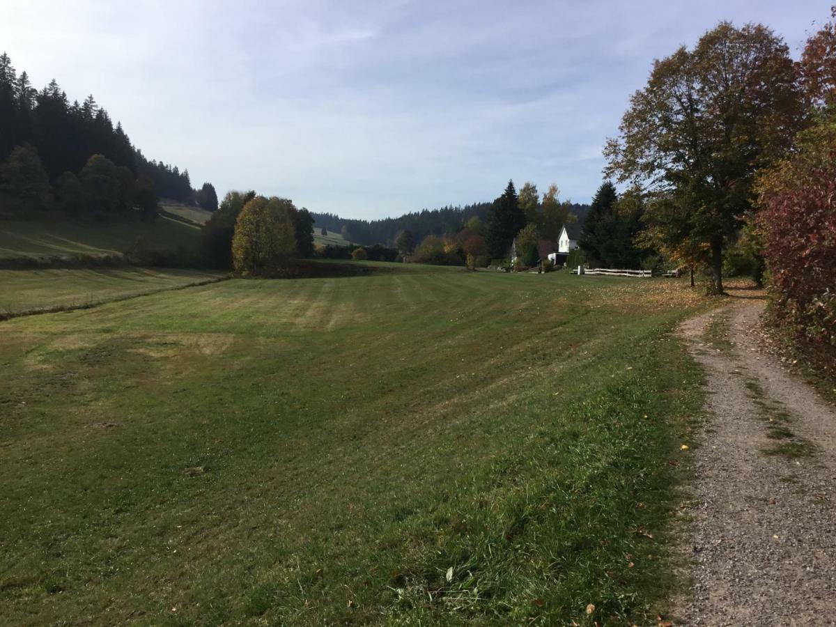 Gemuetliche 1Z Fewo In Schoenwald Mit Balkon, Schwimmbad, Sauna, Fitness エクステリア 写真